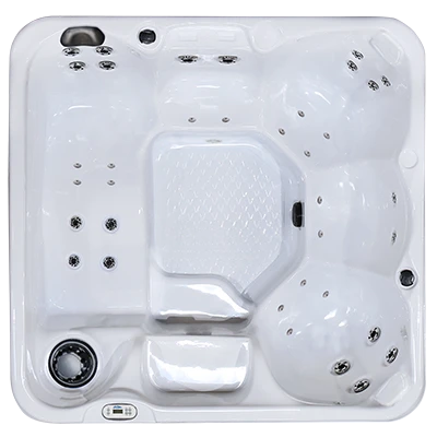 Hawaiian PZ-636L hot tubs for sale in San Clemente
